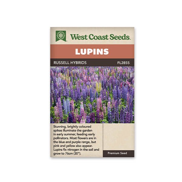 Russell Hybrids Lupins Flower Seed